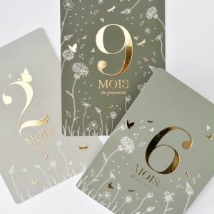 Cartes étape Céleste