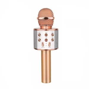 Microphone Karaoké sans Fil