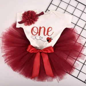 Ensemble anniversaire 1 an coccinelle
