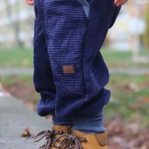 Pantalon en Velours Bleu