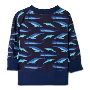 Sweat Evolutif Cétacés