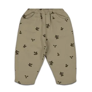 Pantalon Carrot Prunes Kaki