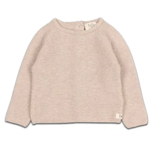 Pull Tricoté en Coton Bio Sesame Beige